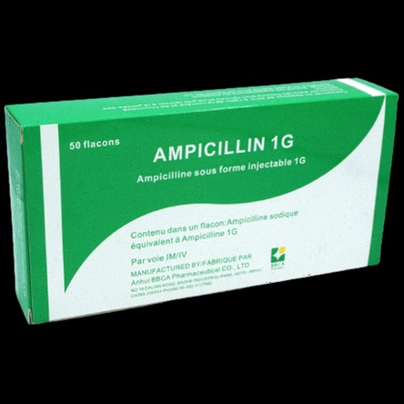ampicillin