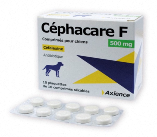 cephalexin